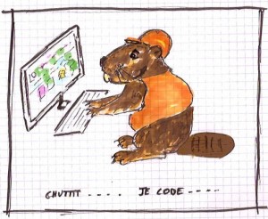 illustration humour castor qui code
